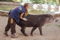 Barcelona, Ã¢â¬â¹Ã¢â¬â¹Spain, on May 2017 - Animal keeper at Barcelona Zoo taking care of the Amazonian tapir